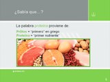 Program Educativo de Nutrición / Módulo 2 - Proteínas - Lección 1