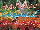 Surah Yaseen (Full) Tilawat With Urdu Listen Online -Nice 