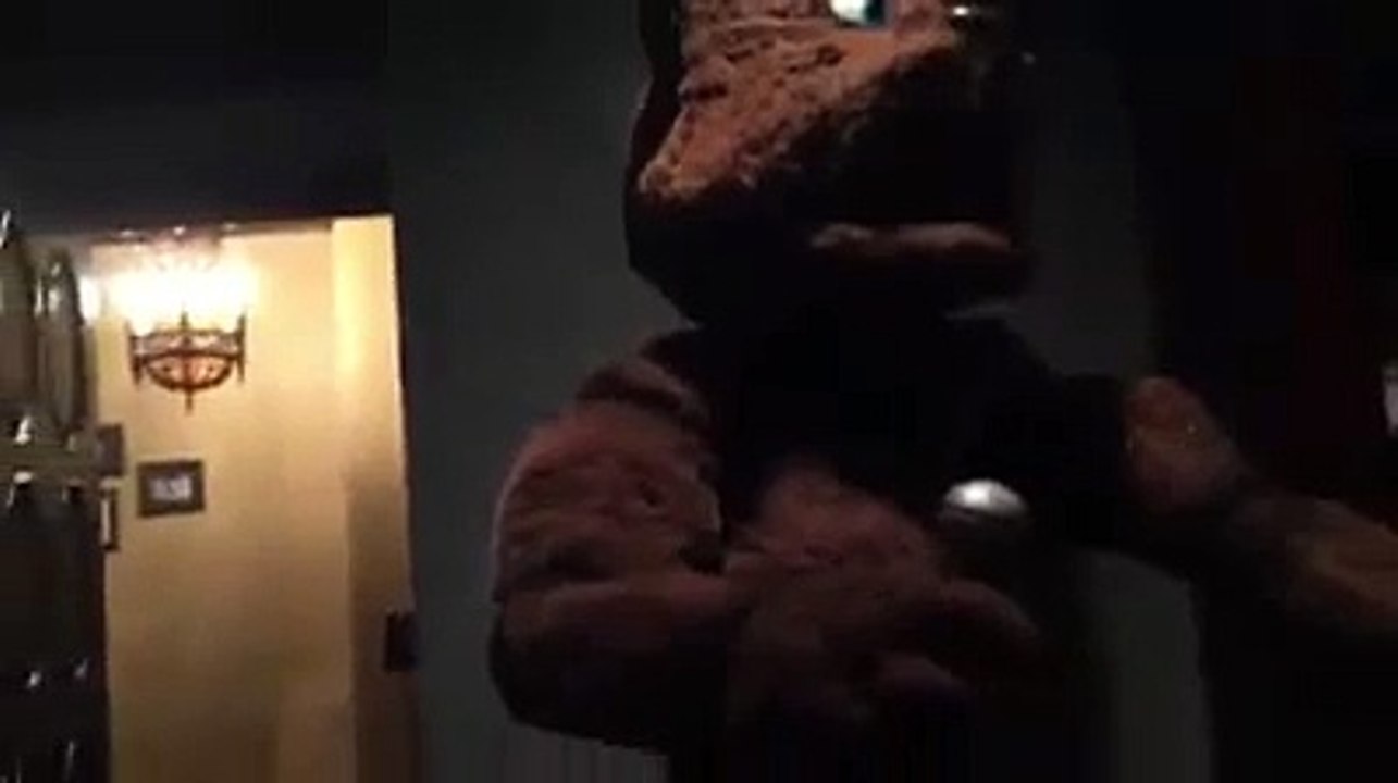 FNAF Freddy Fazbear Real!