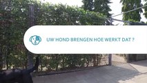 Hond brengen, hoe werkt dat ?