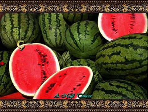 Çimen İLTER İPEKÇİ *Ey Bostancı Bir Bostan Ver Hastam Var*