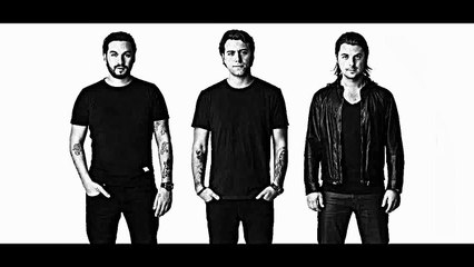 Swedish House Mafia Greyhound
