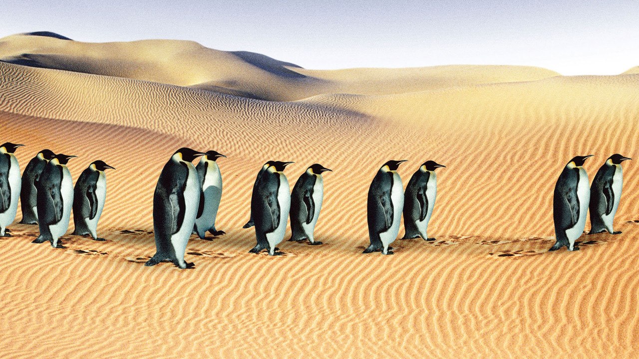 An Inconvenient Truth HD 1080p Online Free