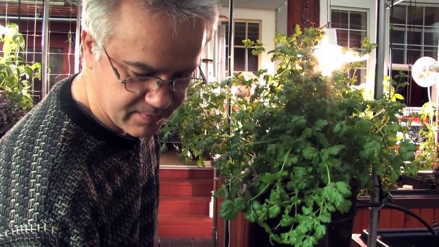 Drum Filters and Backyard Aquaponics