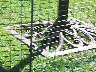 LOVE ME à l' extérieur....