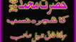 Shajra E Nasab Muhammad (PBUH) ByMulana TariQ Jameel Sb.Akmal Gso