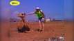 Funny Animal Videos   Funny Animal Attacks Caught On Tape 2011