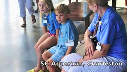 Sea Turtle Hospital's 'SCUTE' Visited by Turtle Protectors