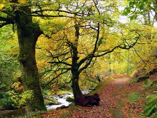 Paisajes de España. Asturias/ Landscapes of Spain. Asturias/ Paisaxes d'España. Asturies