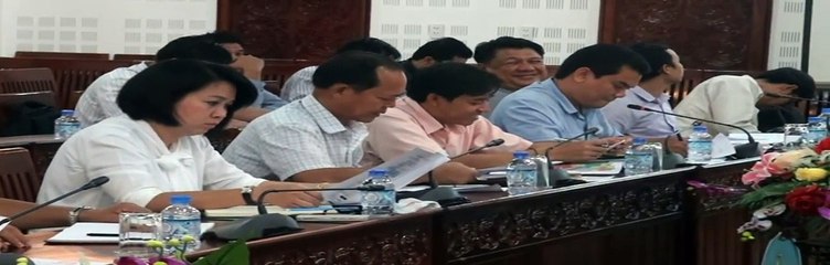 Experts make recommendations on city planning