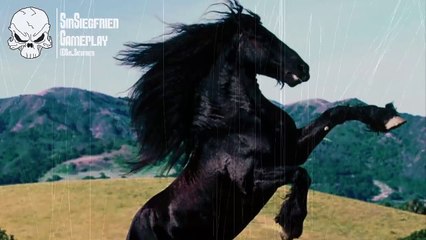 13 Animales que predicen la muerte