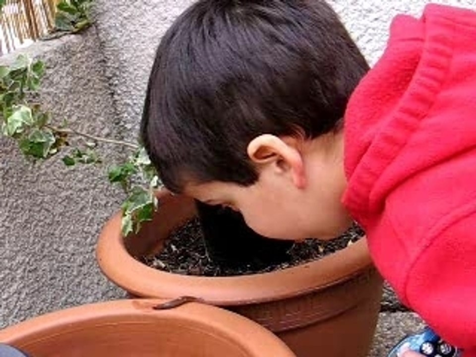 La limace 11_04_07_0001