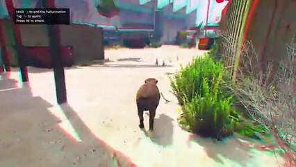 GTA5 Funny Moments: Dog Easter Egg, Train Fail