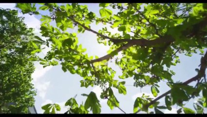 Dado Polumenta - Za tebe uvjek bicu tu, s kraja svjeta ja cu doci