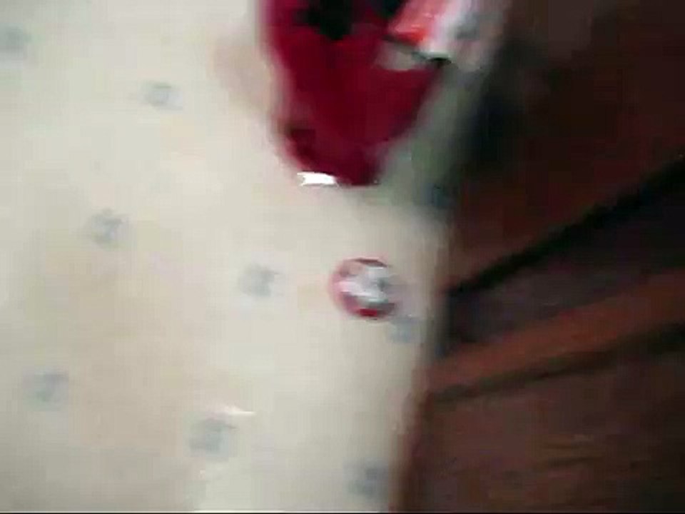 Kitten Jump