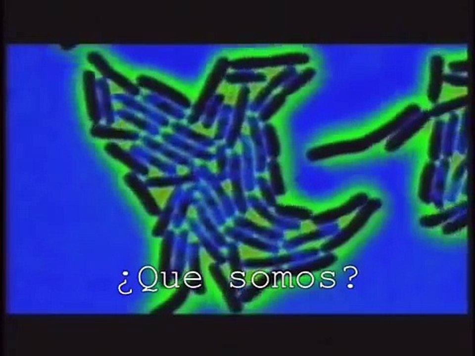 Trailer Zeitgeist