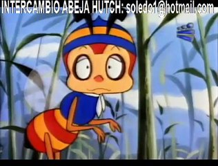 ABEJA HUTCH JOSE MIEL LATINO