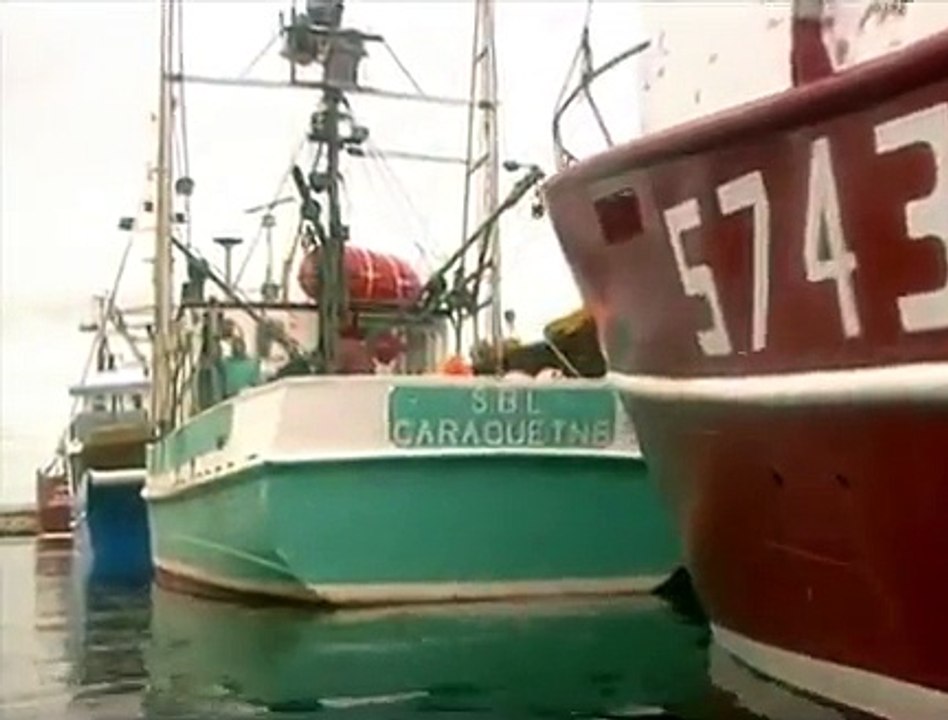 Bison Trawl Doors