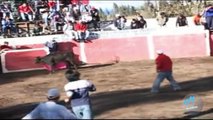 toros de mi pueblo vol 7 (7) (HD)