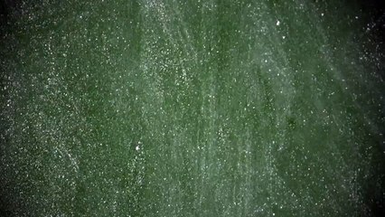 6. Math Is Fun - Percentages