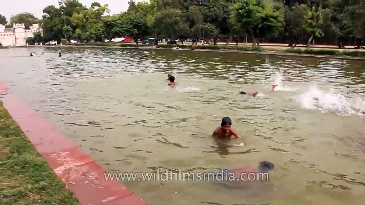 Young boys swim to beat the Delhi summer heat!