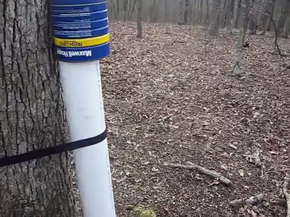 homemade deer feeder