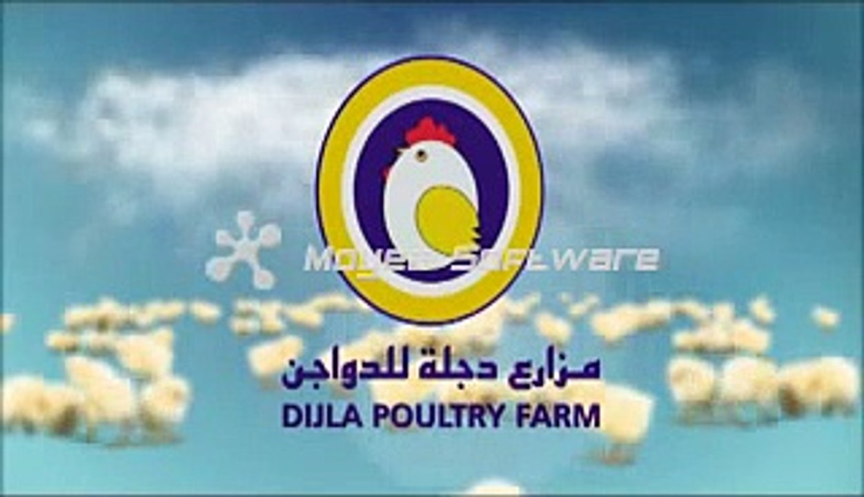 Dijla Poultry  دجلة للدواجن فرع شركة مطر عجب البقمى وأولاده
