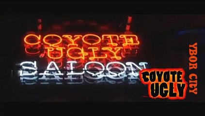 Coyote Ugly Ybor City
