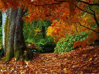 Coltrane & Hartman - Autumn Serenade