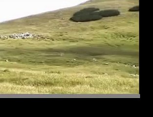 Hangflug am Schneeberg