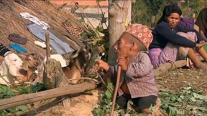 Nagariknews Video: World's shortest man Chandra Bahadur Dangi