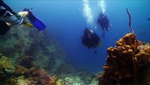 Planet Scuba, Koh Tao; 