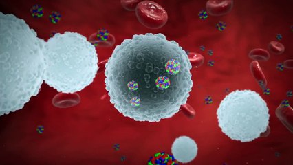 Dengue fever cases rise to epidemic levels in Singapore