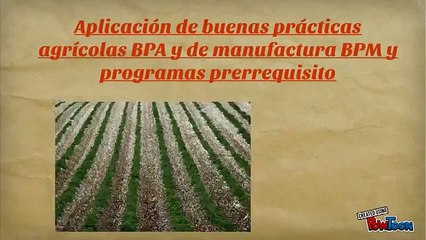 Aplicación de buenas prácticas agrícolas BPA y de manufactura BPM y programa prerrequisito