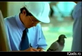 Thai Mobile - Pigeon Mobile Viral Ad