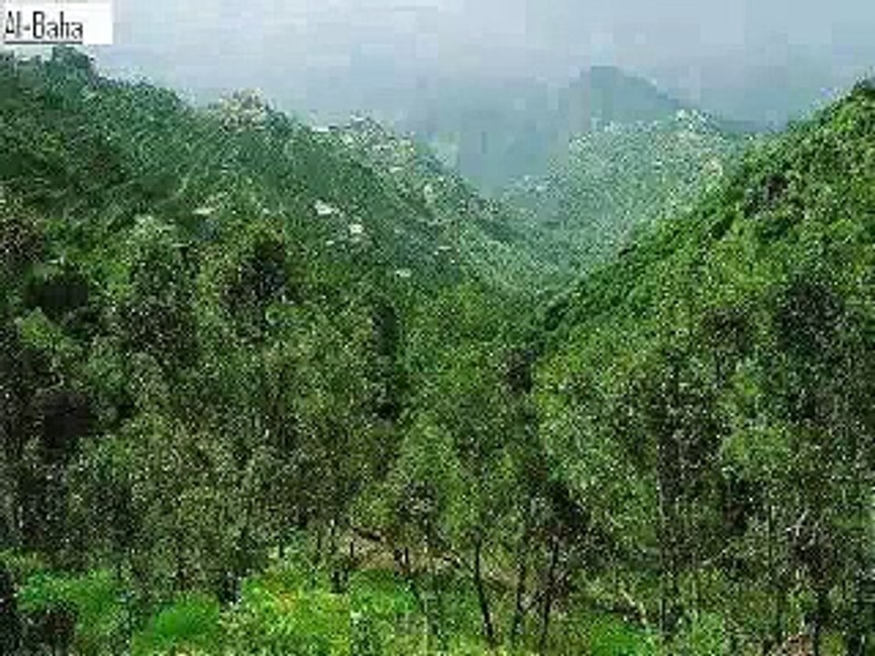 أبها - ABHA