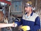 Obrada papaka – jedan od tri problema u stočarstvu, 01. avgust 2015. (RTV Bor)