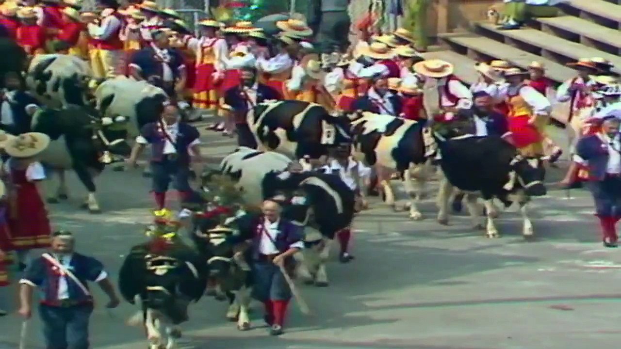 Fête fédérale de lutte suisse - Estavayer 2016