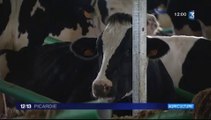 20150718-F3Pic-12-13-Drucat-Mille Vaches : fin du délai pour se mettre en conformité