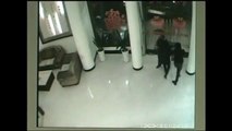 فتاة صينية تقبض على لص مسلح وتمنعه من الهروب