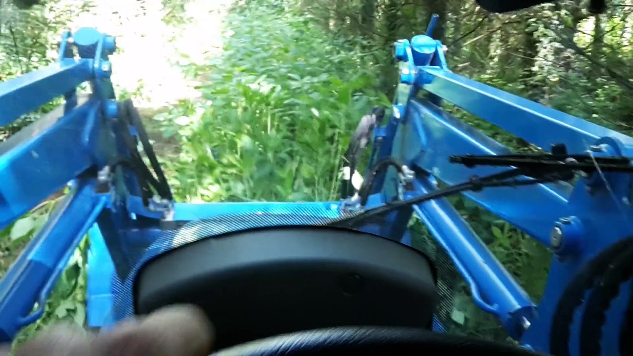 broyage Balsamine de l'Himalaya