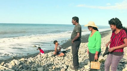 MH370: des Réunionnais à la recherche d'autres débris d'avion