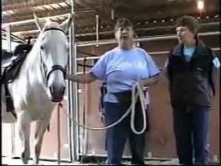 Stand Still So I Can Get On Safely - 2009 Canis Film Festival Finalist