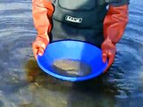 gold panning in Germany 1