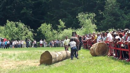 Zilele Râşnovului şi Festivalul Naţional Ecvestru 2011-7