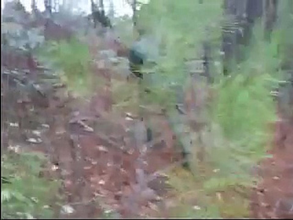 Rescate de cervatillo