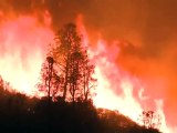 Etats-Unis: un pompier meurt en Californie, Etat en proie à de vastes incendies