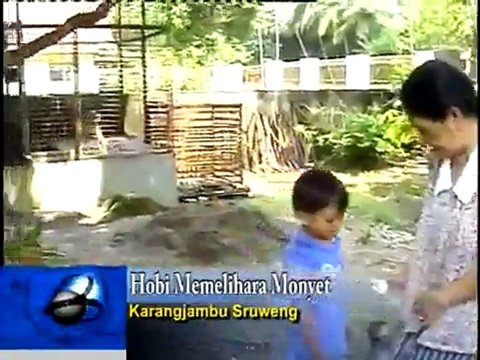 Memelihara Monyet sebagai Hobi.mp4
