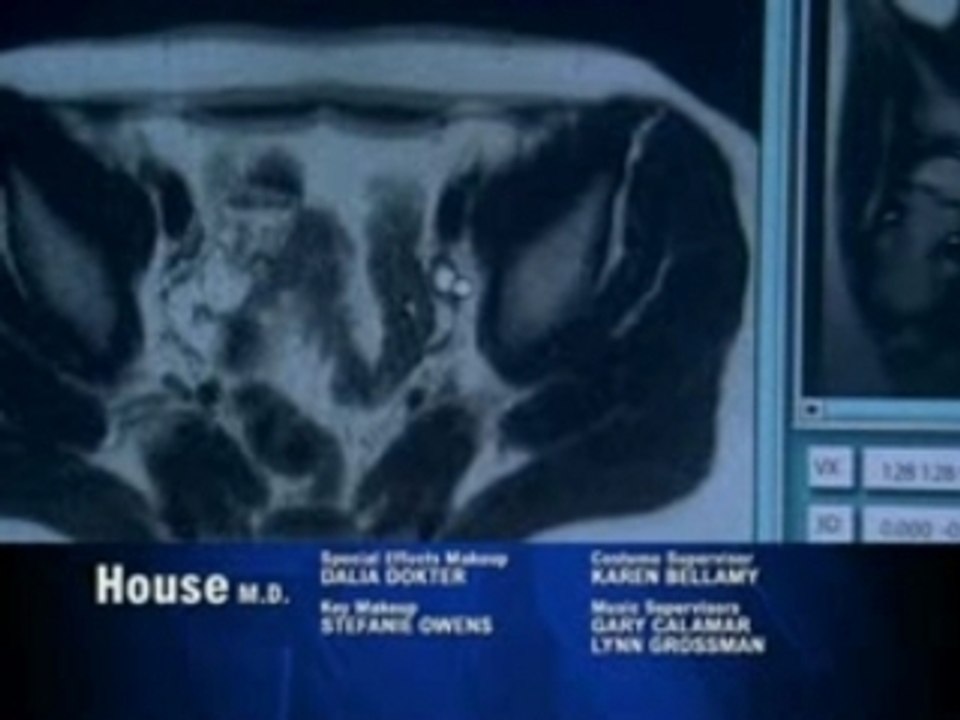P1 House 3x19 "Act Your Age"