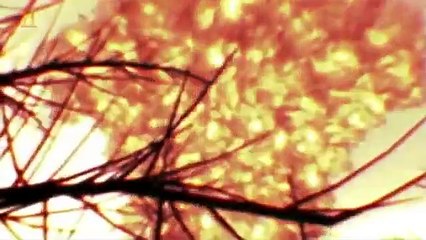 A világegyetem 3 A Föld Végzete